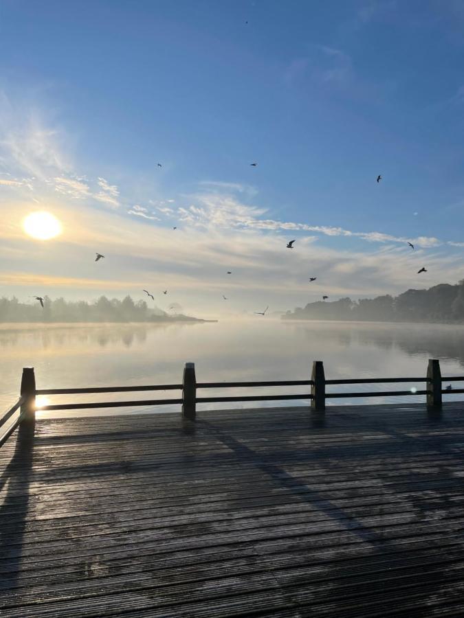 Artistiek Vakantiehuisje Hulst Ngoại thất bức ảnh