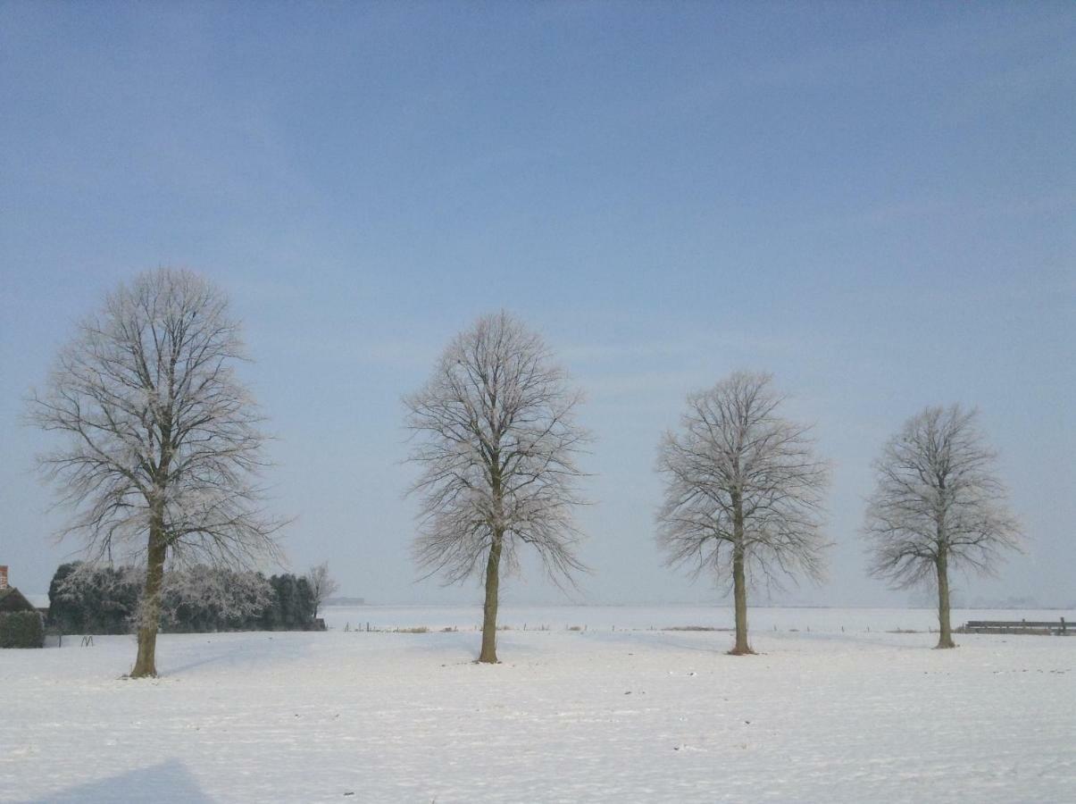 Artistiek Vakantiehuisje Hulst Ngoại thất bức ảnh